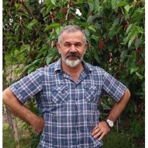 İsmail Güçlü